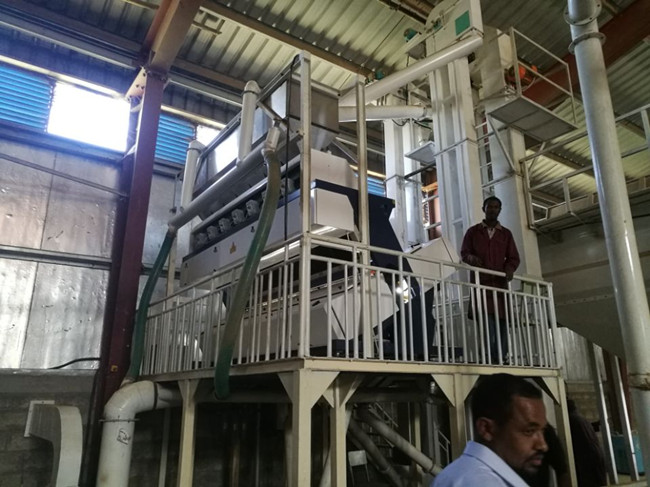 خط تنظيف حبوب البن المثبتة بنجاح في إثيوبيا